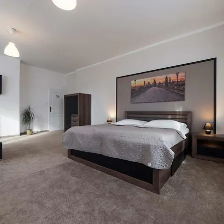 Homer Guest house Slany
