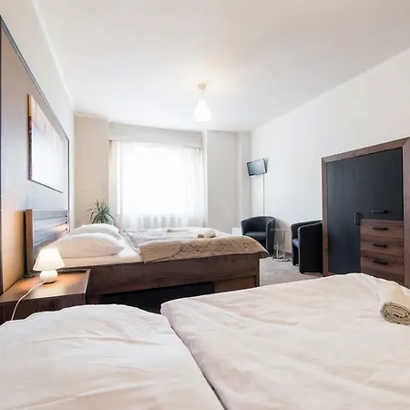 Homer Guest house Slany