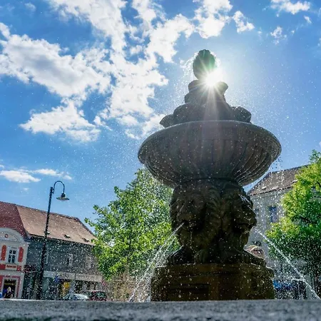 Гостевой дом Homer Сланы