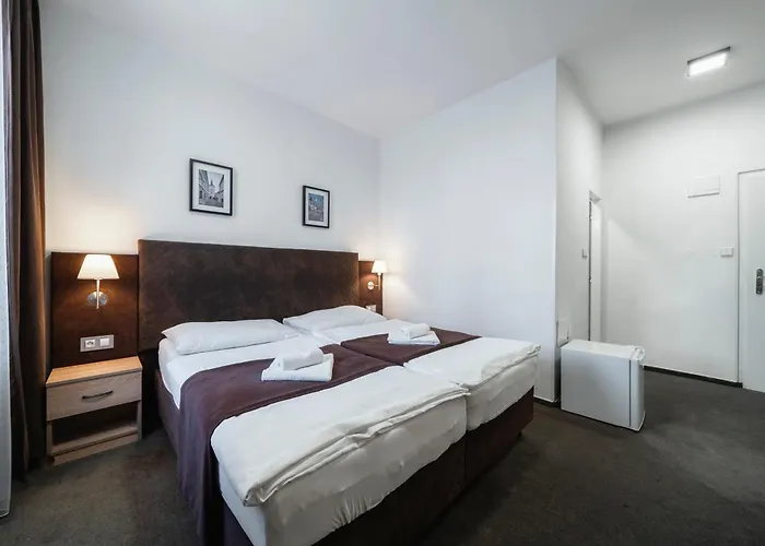 Homer Guest house Slany