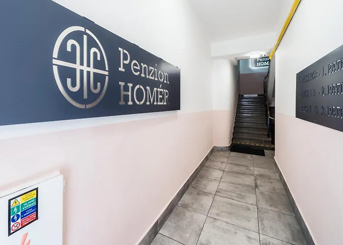 Homer Guest house Slany