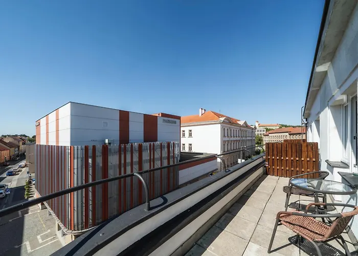 بيت ضيافة Homer Slaný