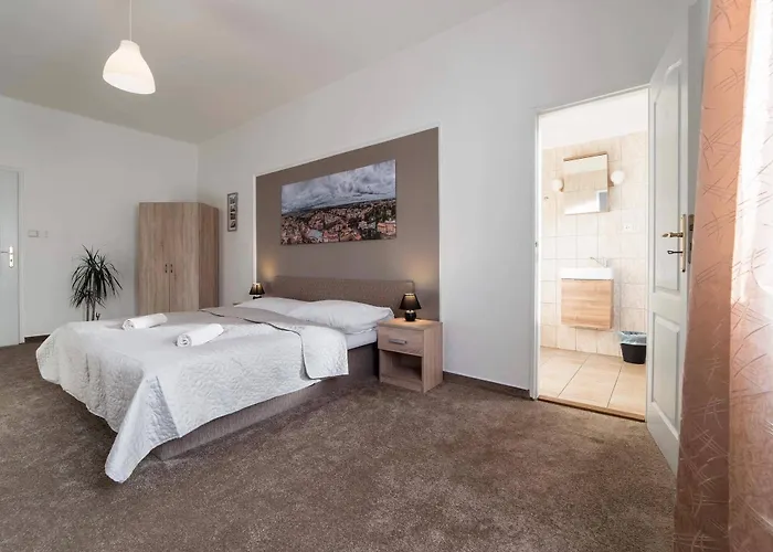 Homer Guest house Slany