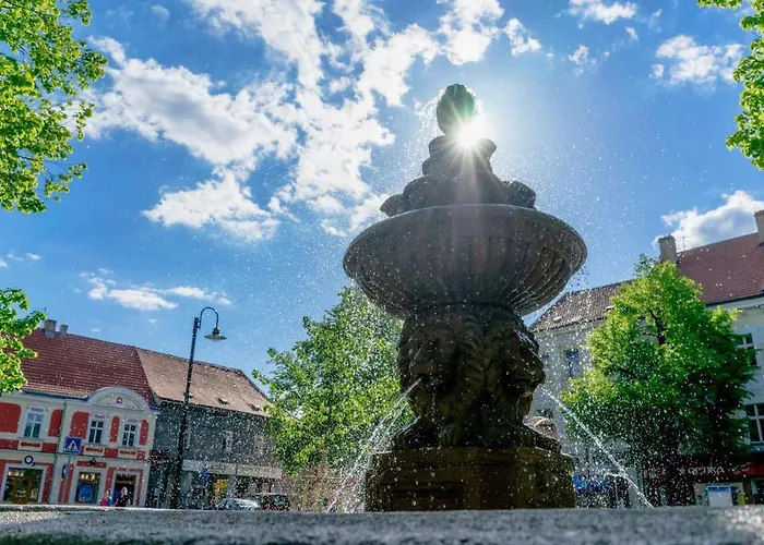 Guest house Homer Slany